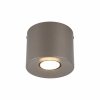 Nowoczesna oprawa sufitowa tuba brązowa reflektor spot minimalistyczna uniwersalna klasyczna ORION S 11340 TK-Lighting